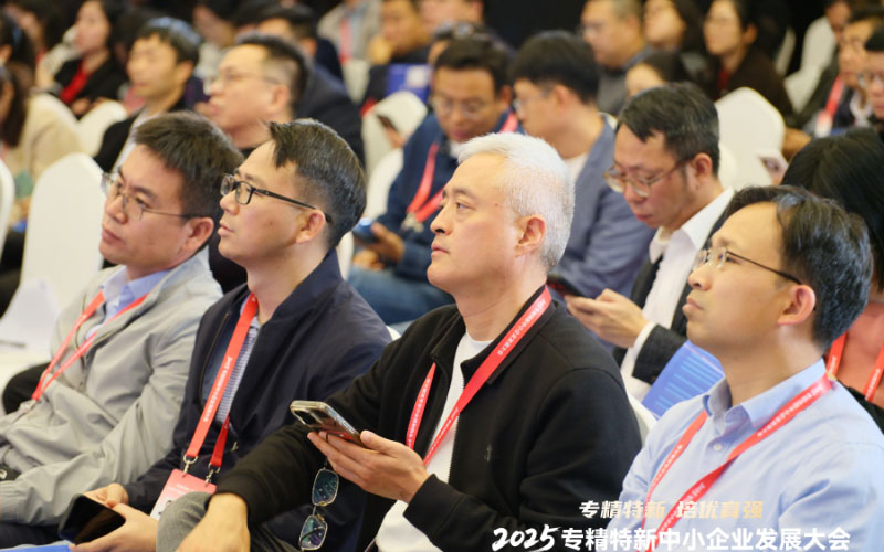 極目新聞：青島中新華美受邀參加2025專精特新中小企業發展大會